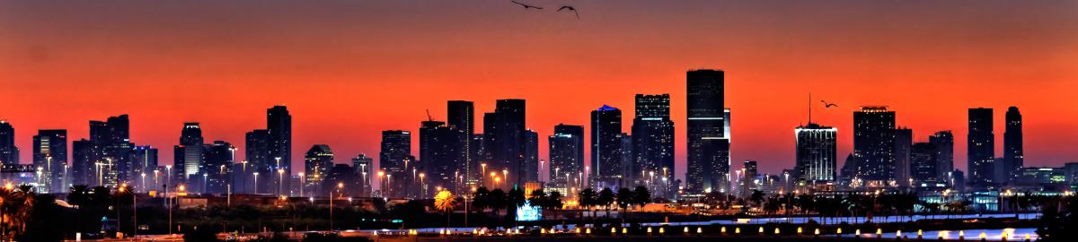 Miami panorama