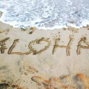 Maui Aloha